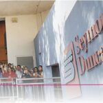 Pastillas Seymour Duncan